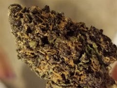 User uploaded image of Forbidden Fruit