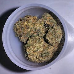 User uploaded image of Fortune Cookies