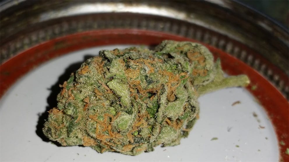 Photos of Fortune Cookies Weed Strain Buds Leafly