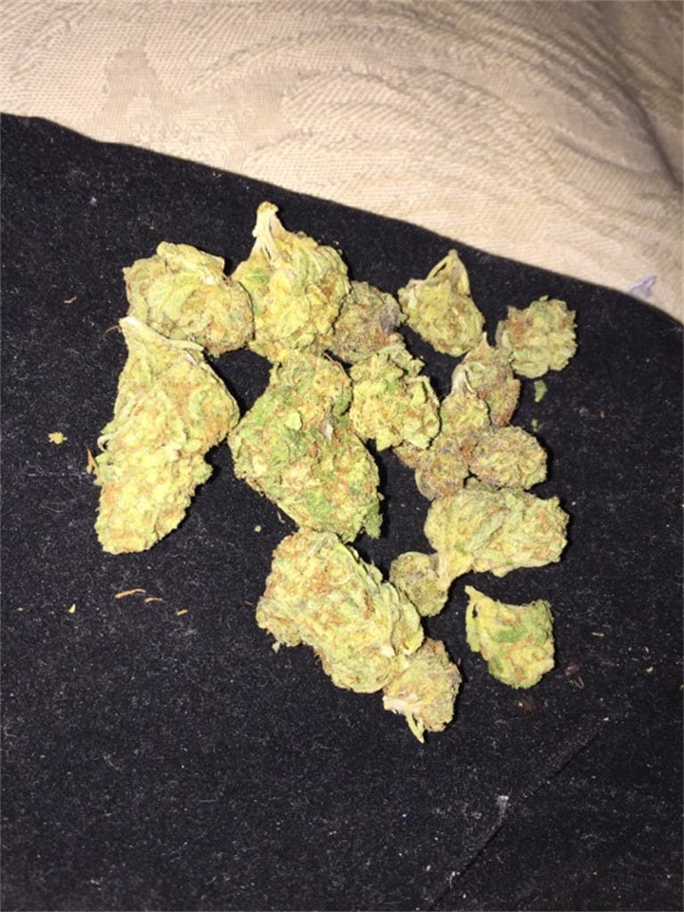 Photos of Fortune Cookies Weed Strain Buds Leafly