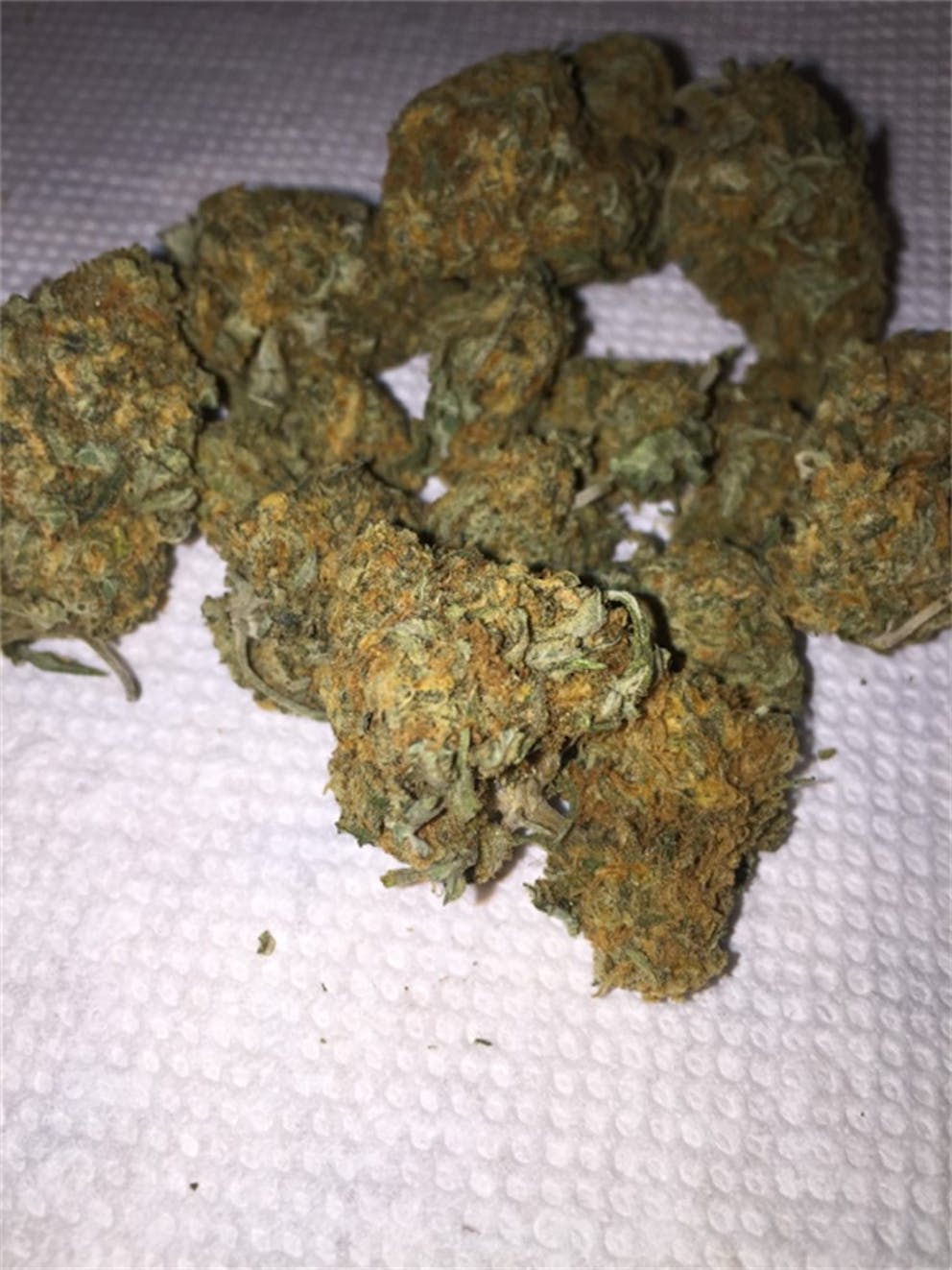 Photos of Fortune Cookies Weed Strain Buds Leafly