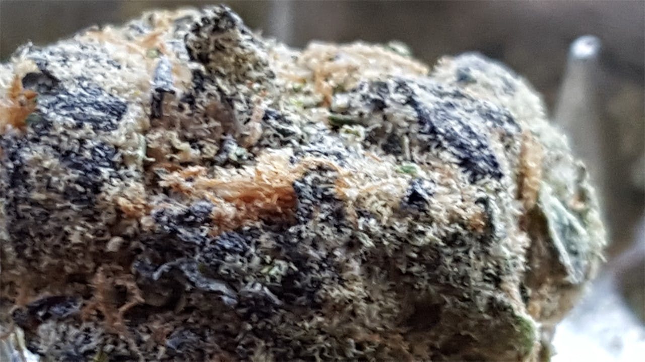 Photos of Fortune Cookies Weed Strain Buds Leafly