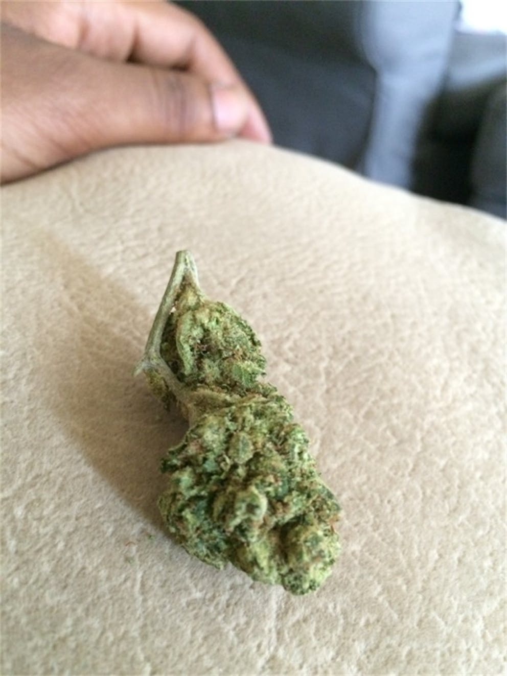 Photos of Fortune Cookies Weed Strain Buds Leafly