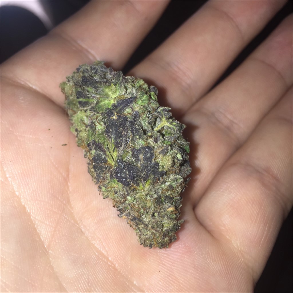 purple cookie weed