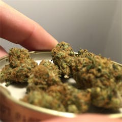 User uploaded image of Frank's Gift