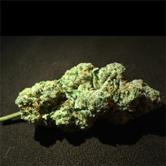 User uploaded image of Frankenstein