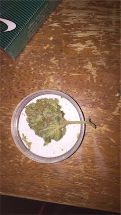 User uploaded image of Frankenstein