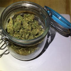 User uploaded image of Freezeland