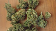 User uploaded image of Freezeland