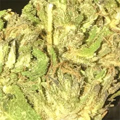 User uploaded image of Freezeland