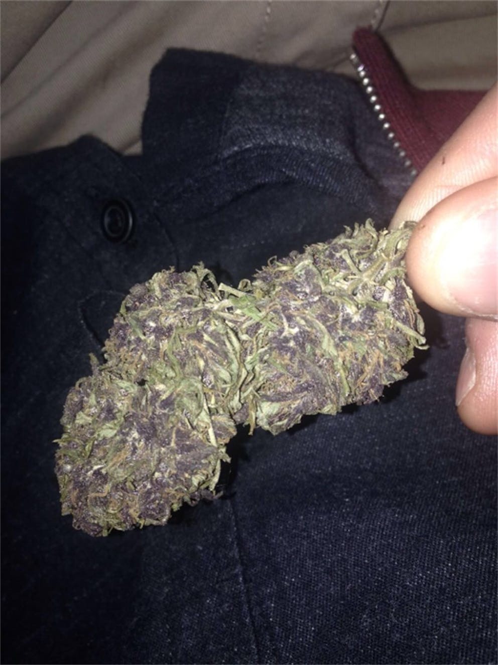 Photos of Frisian Dew Weed Strain Buds Leafly