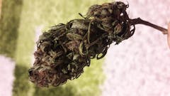 User uploaded image of Frisian Dew