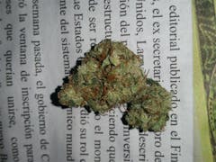 User uploaded image of Frostbite