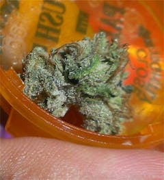 User uploaded image of Frosted Freak