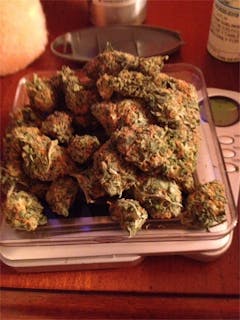 User uploaded image of Frosted Freak