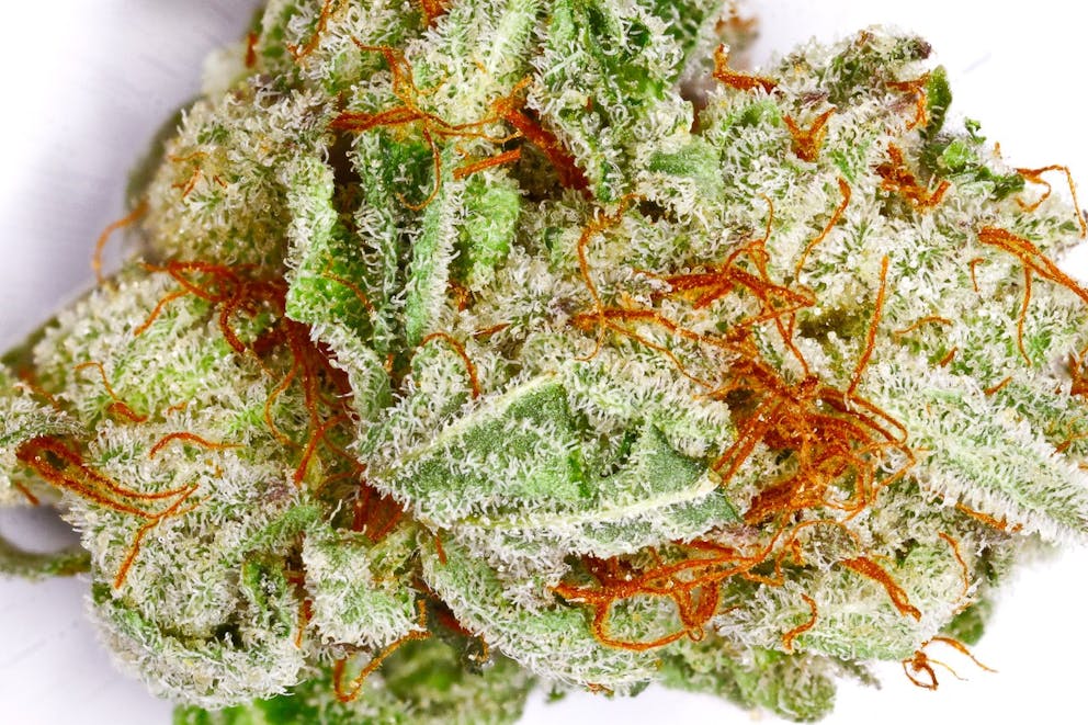 Photos of Frosted Freak Weed Strain Buds Leafly