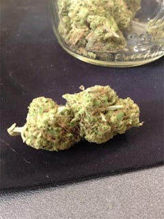 User uploaded image of Frosty