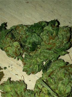 User uploaded image of Frosty