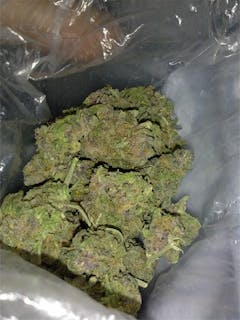 User uploaded image of Frosty