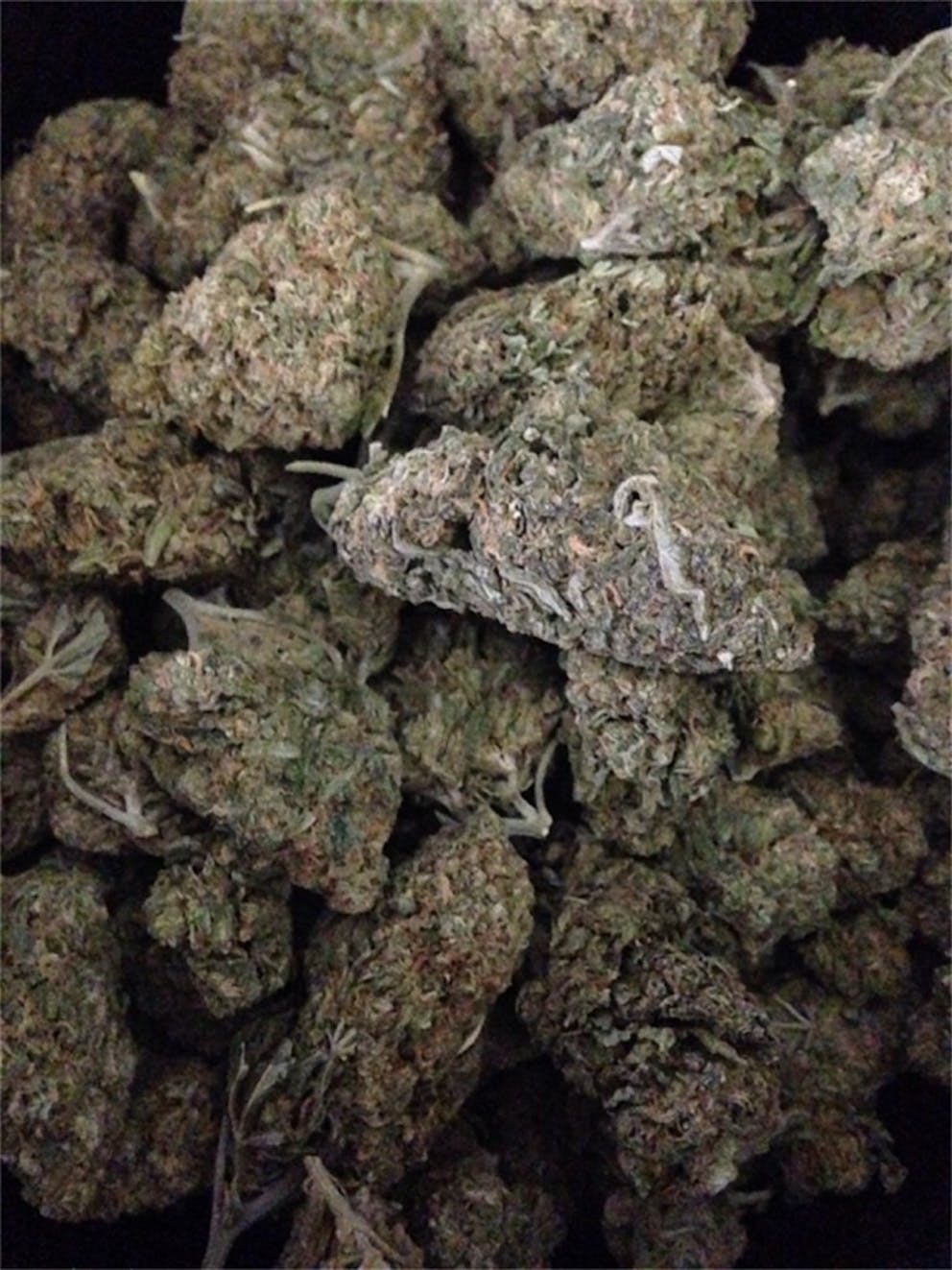 Photos of Frosty Weed Strain Buds | Leafly