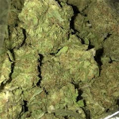 User uploaded image of FL Haze