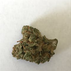 User uploaded image of FL Haze
