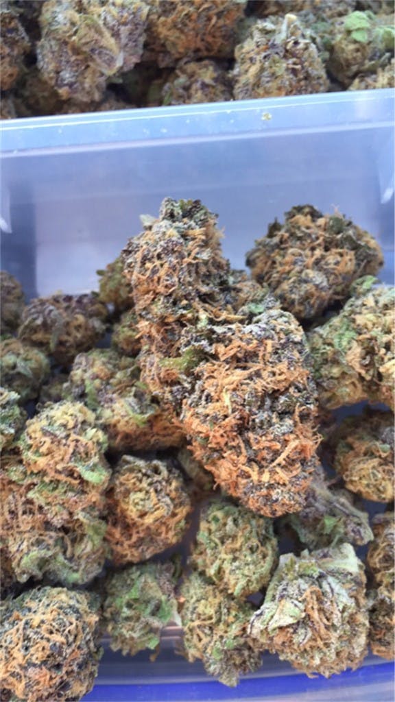 Fruit Loops aka Fruit Loop Haze Weed Strain Information Leafly
