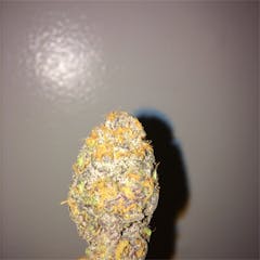 User uploaded image of FL Haze