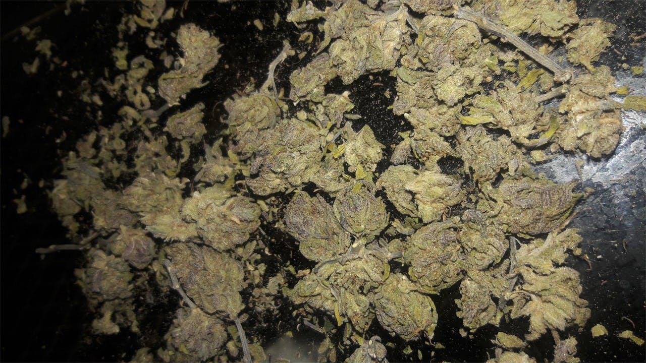 Fruit Loops aka Fruit Loop Haze Weed Strain Information Leafly