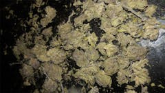 User uploaded image of FL Haze