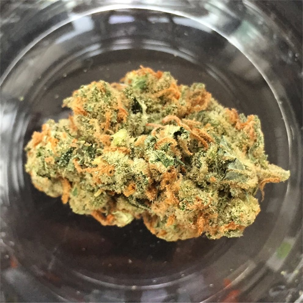 Photos of Fruit Punch Weed Strain Buds Leafly