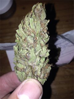 User uploaded image of Fruit Spirit