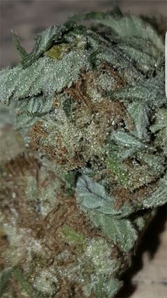 User uploaded image of Fruit Spirit