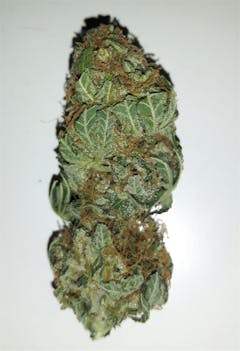 User uploaded image of Fruit Spirit