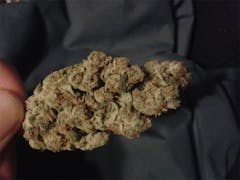 User uploaded image of Fruit Spirit