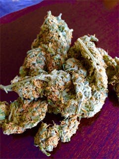 User uploaded image of Fruit Spirit