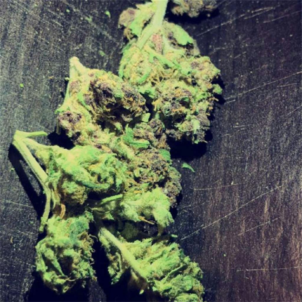 Fruity Chronic Juice aka Chronic Fruit Juice Weed Strain Information