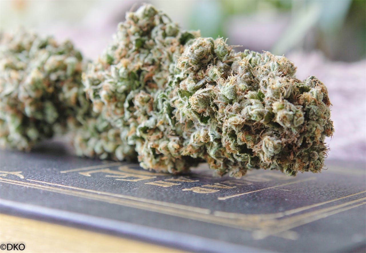 Photos of Fruity Chronic Juice Weed Strain Buds Leafly