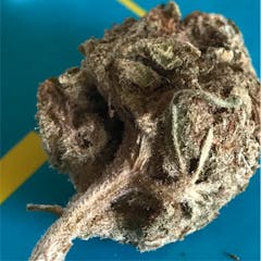 User uploaded image of FPOG