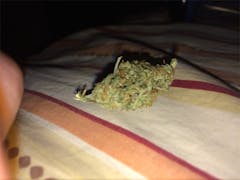 User uploaded image of Fruitylicious