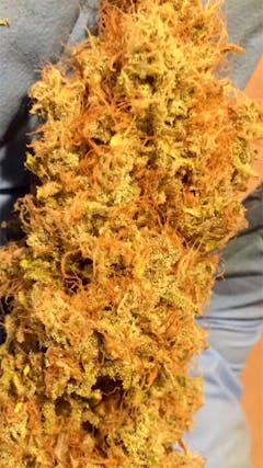 User uploaded image of Full Moon