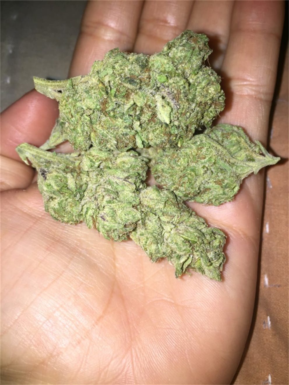 Photos of Funfetti Weed Strain Buds Leafly