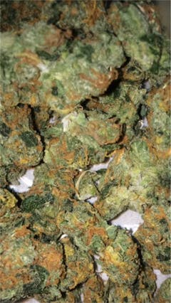 User uploaded image of Funky Monkey