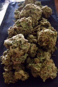 User uploaded image of Funky Monkey