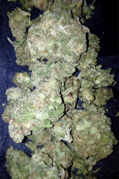 User uploaded image of Funky Monkey
