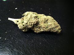 User uploaded image of Funky Monkey