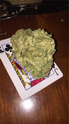 User uploaded image of Funky Monkey