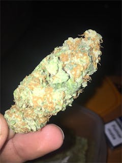User uploaded image of Funky Monkey