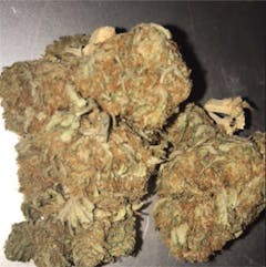 User uploaded image of G-Force