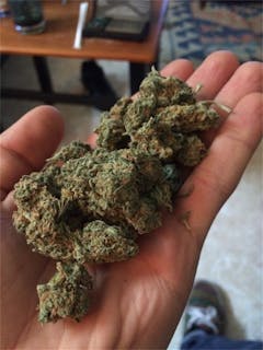 User uploaded image of G13 Diesel